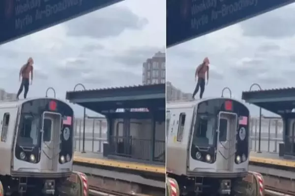 Real Spiderman : ये क्या... चलती मेट्रो पर चढ़ा स्पाइडरमैन, लोगों की थम गई सांसें! वीडियो देख कांप उठी रूह...