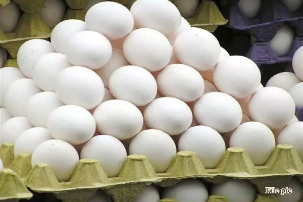 BIG NEWS : ठंड की दस्तक के बीच अंडों ने खाया भाव, कीमत में हुई इतने रुपए की बढ़ोतरी