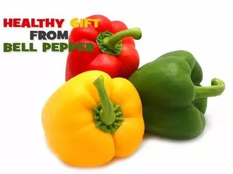 Bell Pepper Benefits: शिमला मिर्च है कई बिमारियों का इलाज, करें आज ही अपनी डाइट शामिल, जाने इसके फायदे....