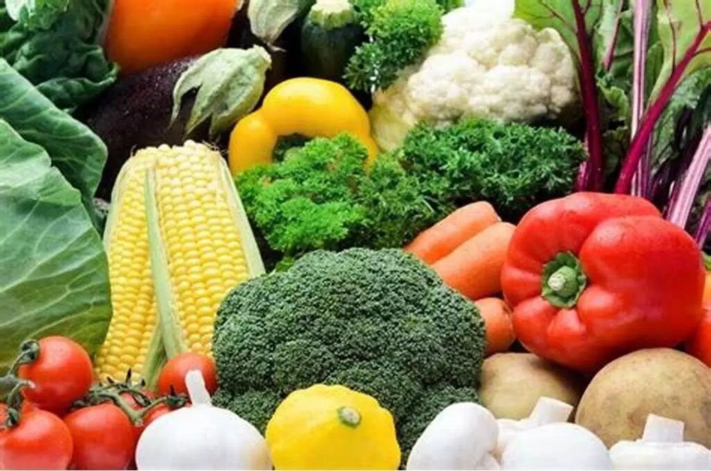 Health Tips: सर्दियों में स्वस्थ रखेंगे ये 6 तरह की शाकाहारी सब्जियां, आज ही अपने डाइट में करे शामिल...
