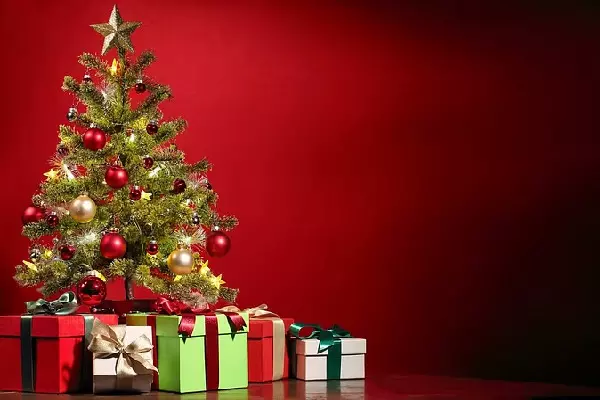 Christmas Day 2023 :क्या आप जानते हैं क्रिसमस ट्री को सजाने से जुड़ी ये अहम बातें, अगर नहीं तो इस लिंक को क्लिक कर पढ़ें रोचक खबर