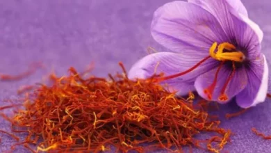Saffron Uses