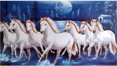 Vastu Tips For Horse Painting