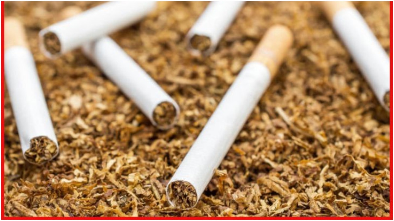 New Warning Sign : सिगरेट और तंबाकू के पैकेट पर दिखेंगे चेतावनी वाले नए फोटो, जारी किये गए निर्देश