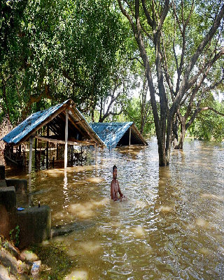 Odisha Flood