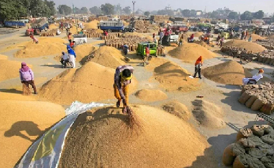 Dhan Kharidi 2022 : प्रदेश में अब तक इतने लाख मीट्रिक टन धान की हुई खरीदी, 81,048 किसानों ने बेचा धान