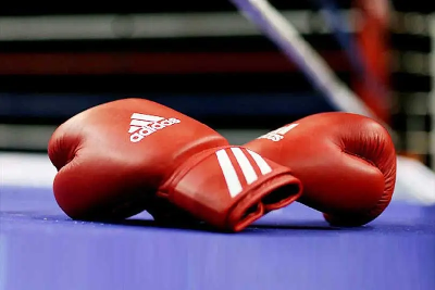 Asian Boxing Championships : आज एशियाई बॉक्सिंग चैंपियनशिप में भारत के नाम हुआ 4 स्वर्ण पदक, इन खिलाड़ियों ने लहराया परचम