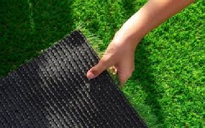 Vastu Tips For Artificial Grass 