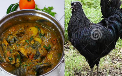 Benifit Of Karaknath Chicken