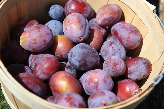 Benefits of prunes