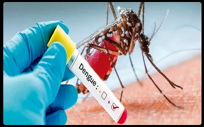 Dengue in CG : छत्तीसगढ़ में लगातार बढ़ रहा डेंगू का प्रकोप, मरीजों की संख्या में हो रही बढ़ोतरी, दर्जनों लोग अस्पताल में भर्ती, स्वास्थ्य विभाग में हड़कंप